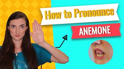 anemone pronounciation